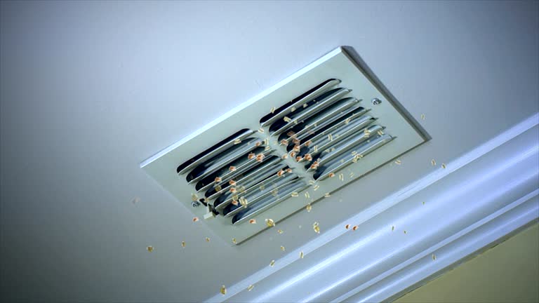 Best Best Air Duct Cleaning Company  in Juno Beach, FL