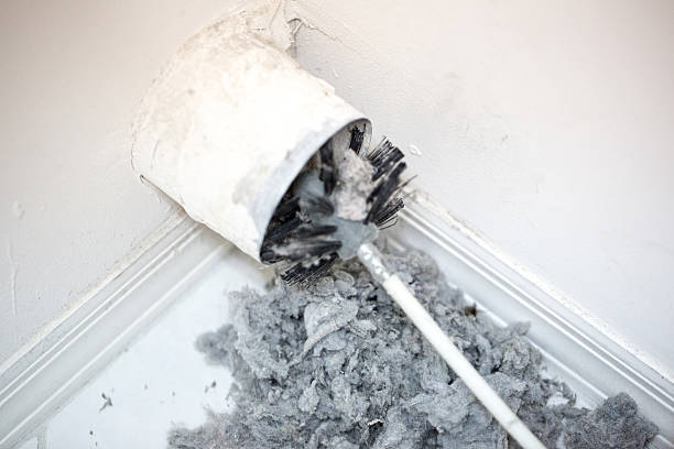 Best Emergency Air Duct Cleaning  in Juno Beach, FL